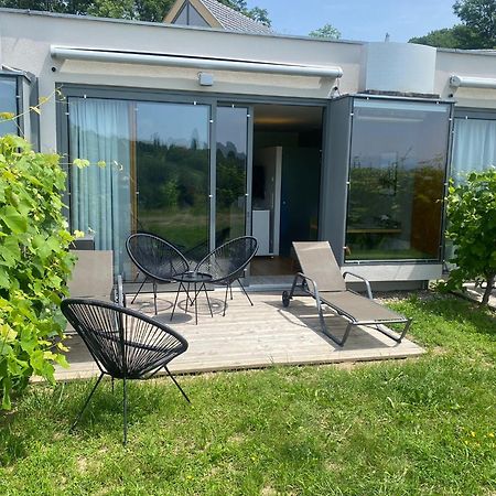 *Brandnew* Modernes Apartment In Den Weinbergen Mit Pool Und Sauna Spielfeld Exterior foto